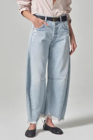 Horseshoe Jean Savahn